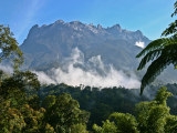 Národní park Kinabalu - za obřími smradlavými kytkami